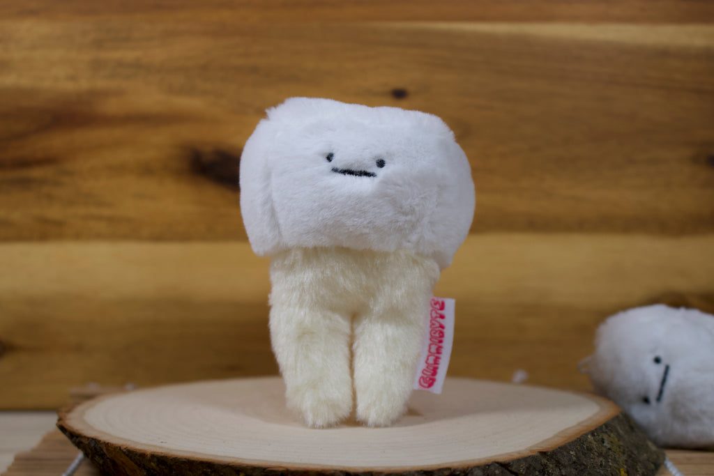 Tooth Plushy (Molar)