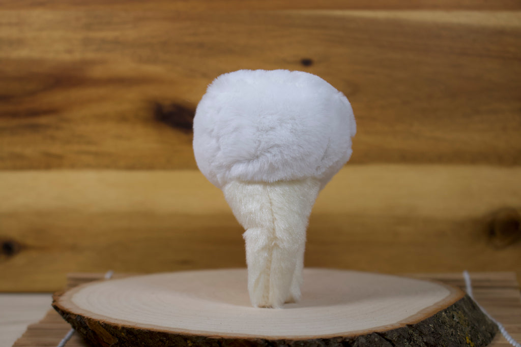 Tooth Plushy (Molar)